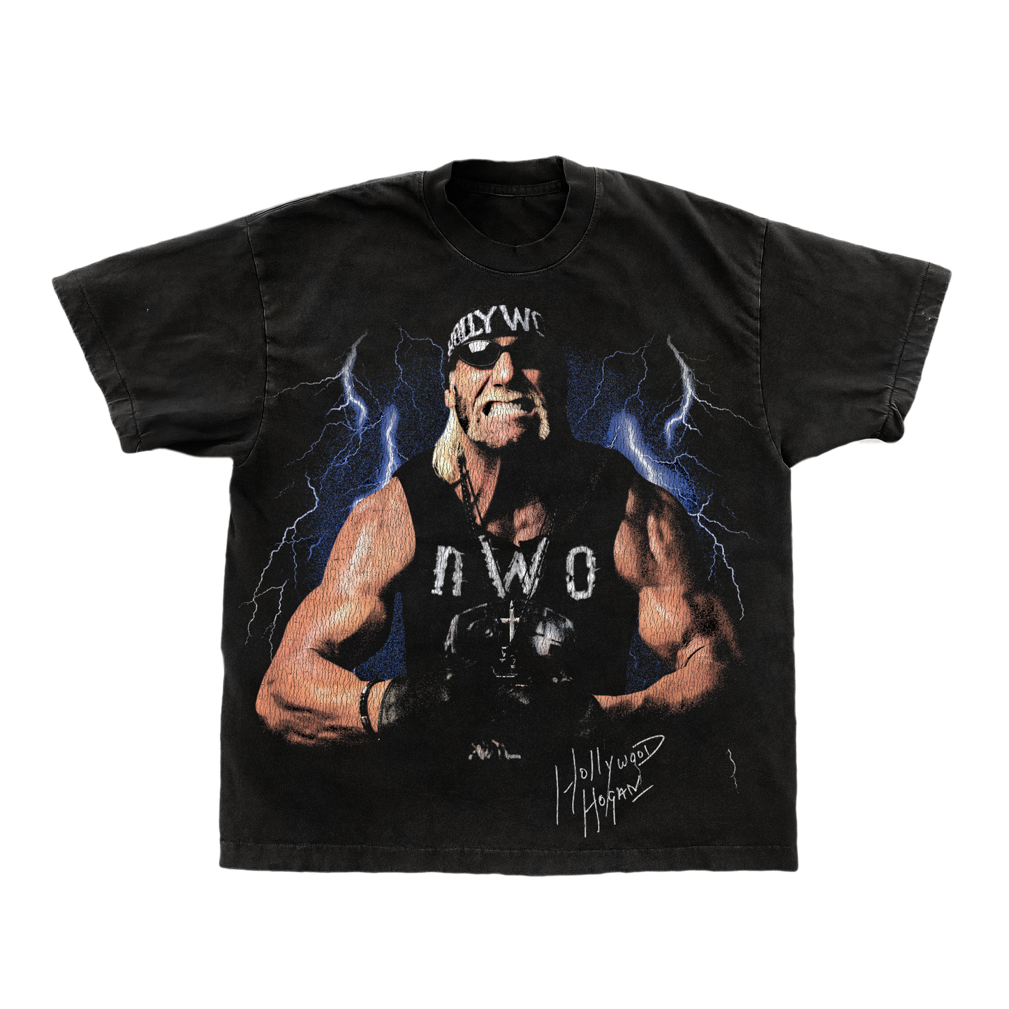 HOLLYWOOD HOGAN